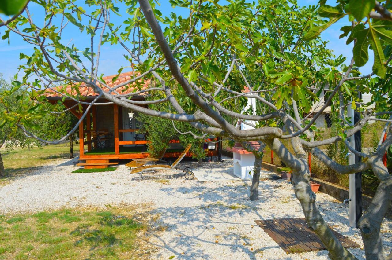 Studio Apartments Luka Biograd - Benkovac Luaran gambar